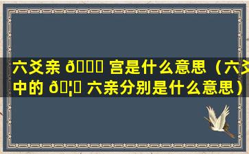 六爻亲 🕊 宫是什么意思（六爻中的 🦋 六亲分别是什么意思）